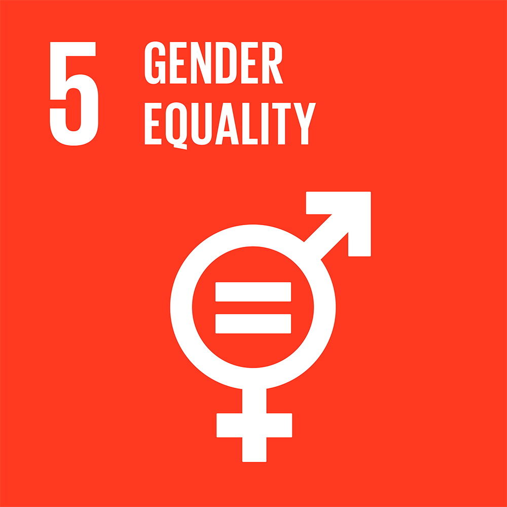 goal 5, gender equality