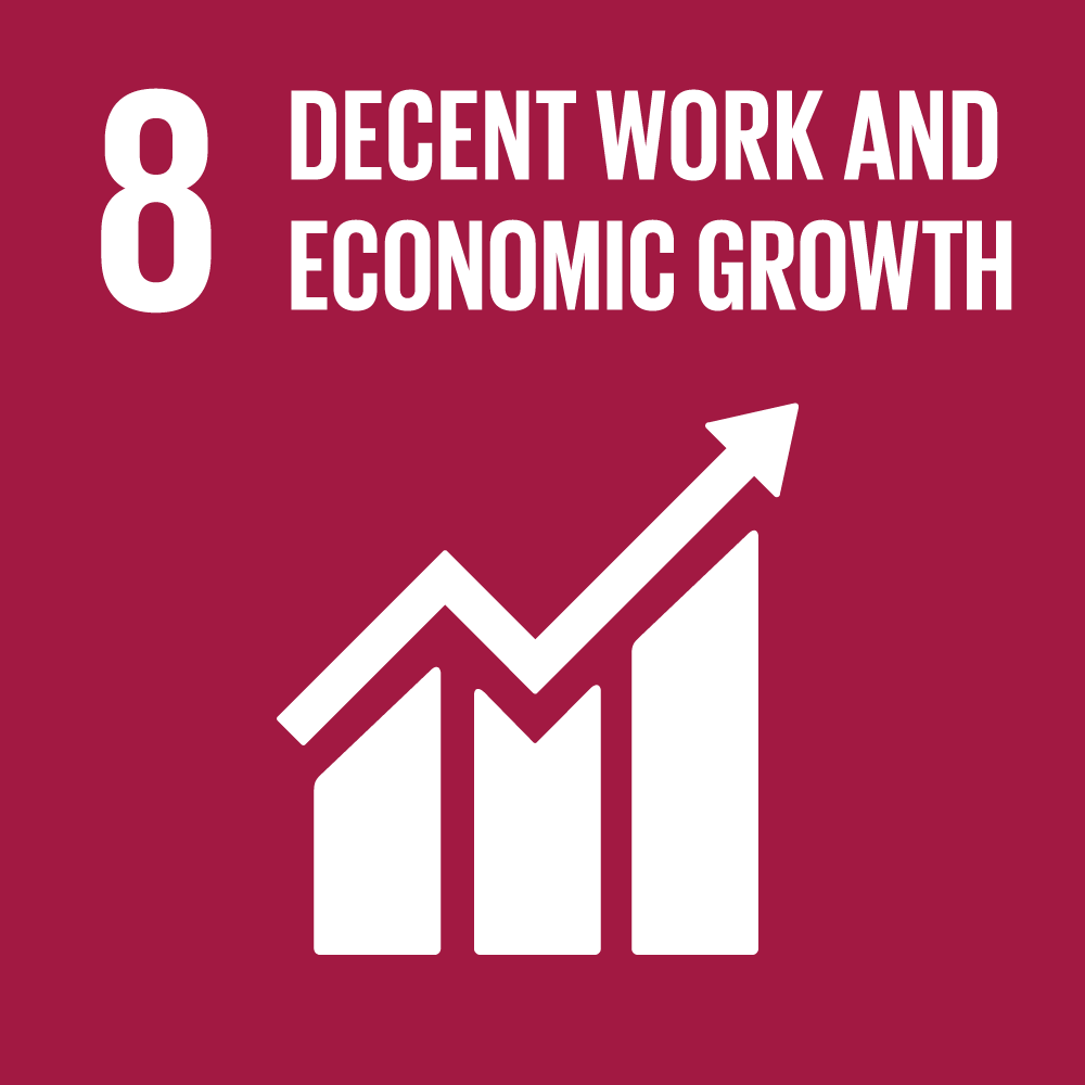 goal 8, decent work and economic growth