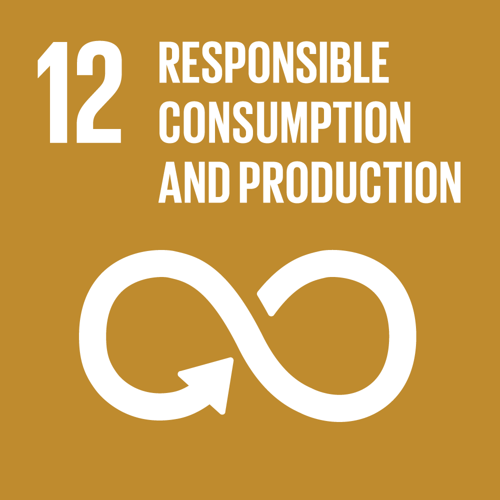 goal 12 responsible consumption and production