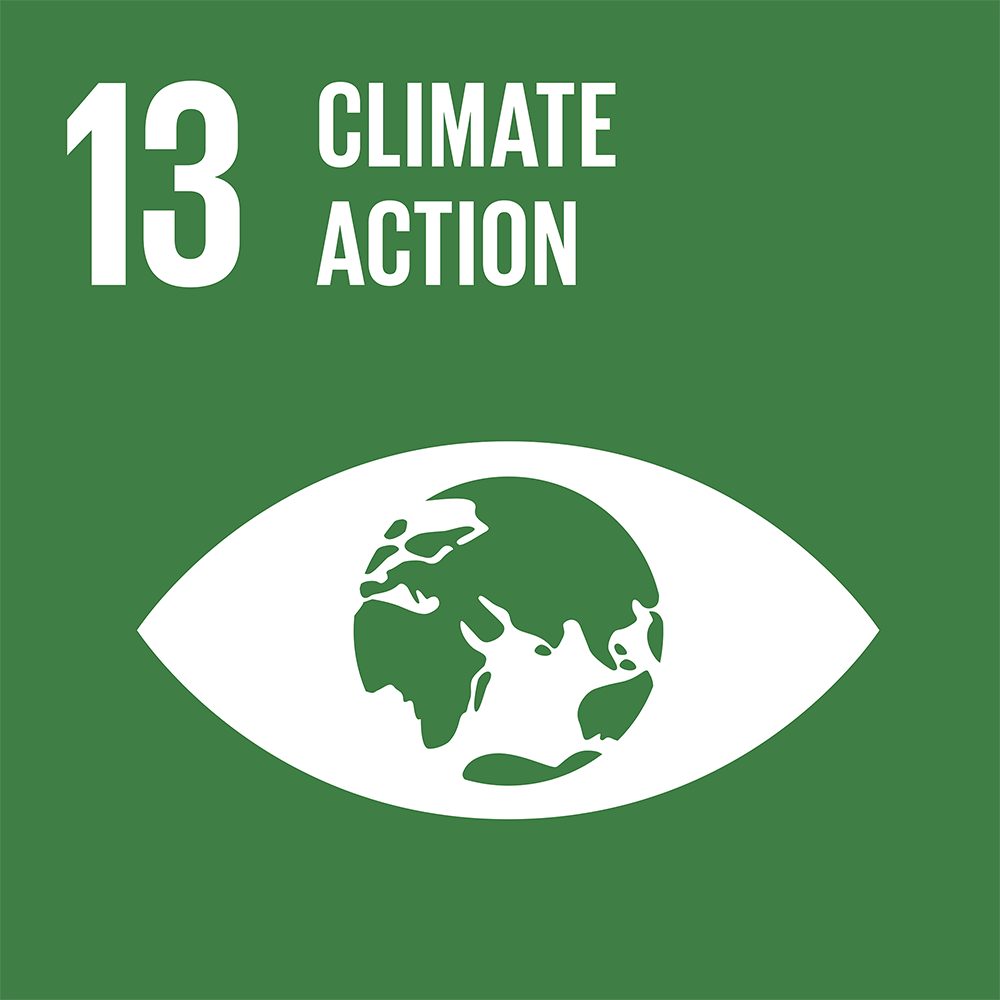 goal 13, climate action